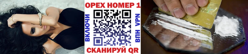 COCAIN Fish Scale  как найти   Мончегорск 