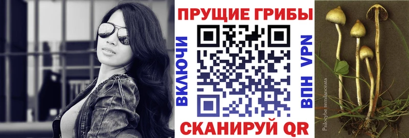 blacksprut зеркало  Мончегорск  Галлюциногенные грибы мицелий  дарнет шоп 